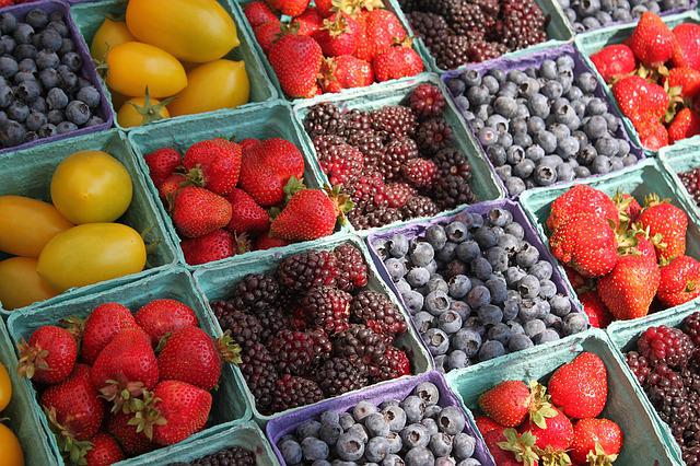 Subvention des investissements pour les agriculteurs en Normandie