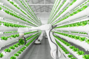 transition agroécologique; PIA4; Appel à projets; BPIfrance